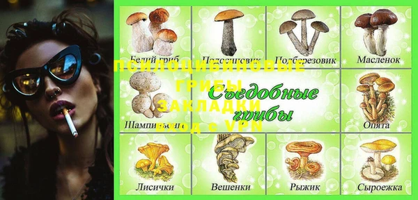 герыч Алзамай
