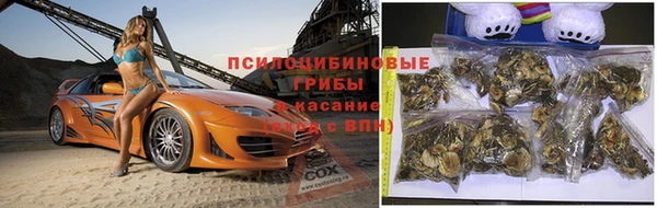 дживик Алексин