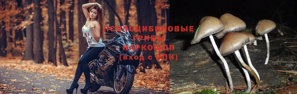 герыч Алзамай