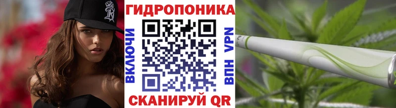 даркнет сайт  Заволжск  Шишки марихуана сатива 